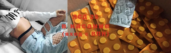 прущие грибы Балахна