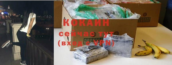 прущие грибы Балахна