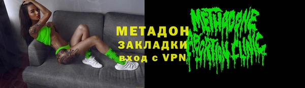 прущие грибы Балахна
