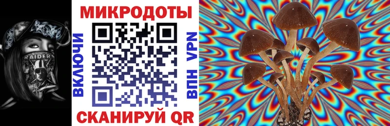 купить наркоту  МЕГА ONION  Псилоцибиновые грибы Psilocybine cubensis  Грайворон 